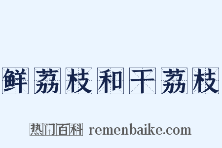 鲜荔枝和干荔枝是什么意思的图片